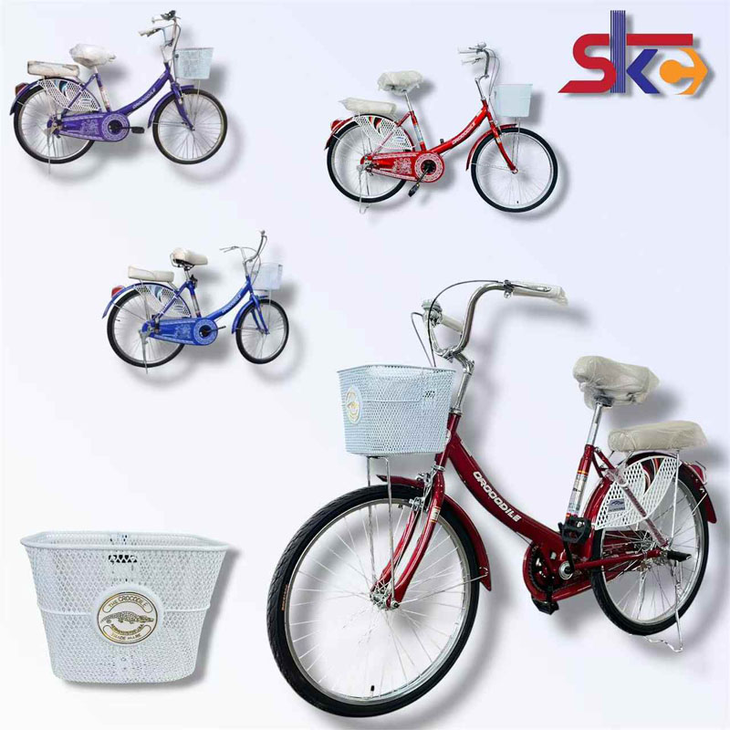 24 ”  Crocodile ( 1*1 )