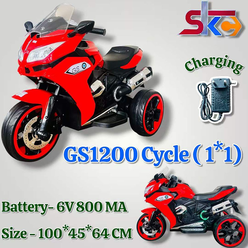 GS  1200 Cycle (1*1)