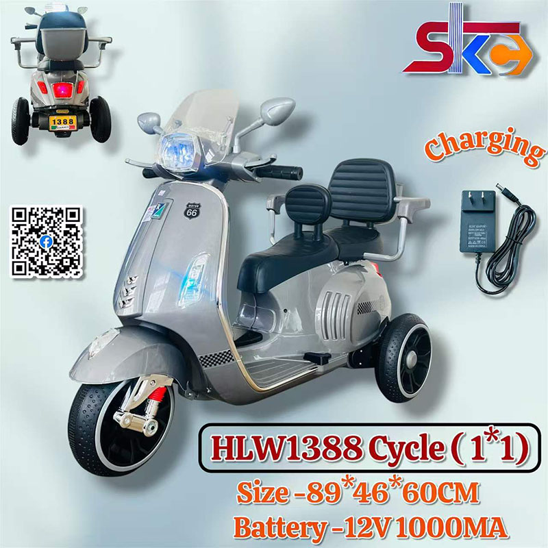 HLW 1388 Cycle (1*1 )