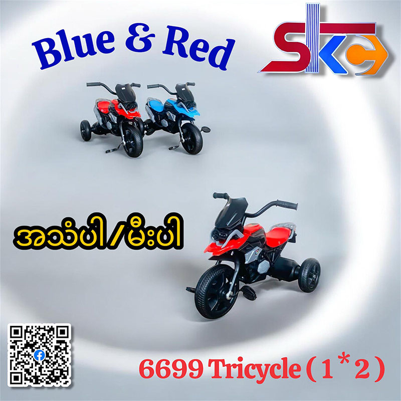 6699 Tricycle ( 1*2 )